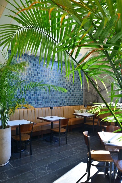 Casa Mexicana-Oxford